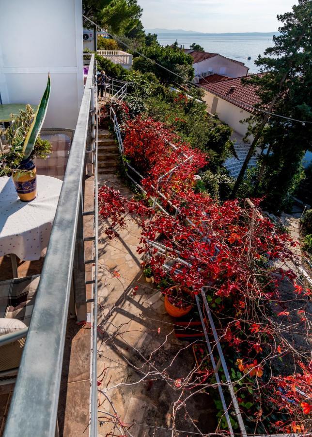 Apartments Tolic Baška Voda Εξωτερικό φωτογραφία