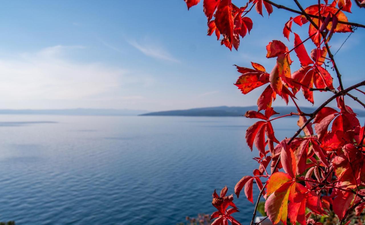 Apartments Tolic Baška Voda Εξωτερικό φωτογραφία