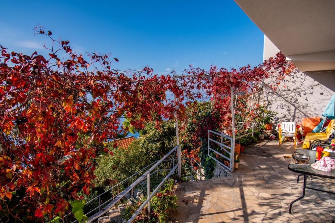Apartments Tolic Baška Voda Εξωτερικό φωτογραφία