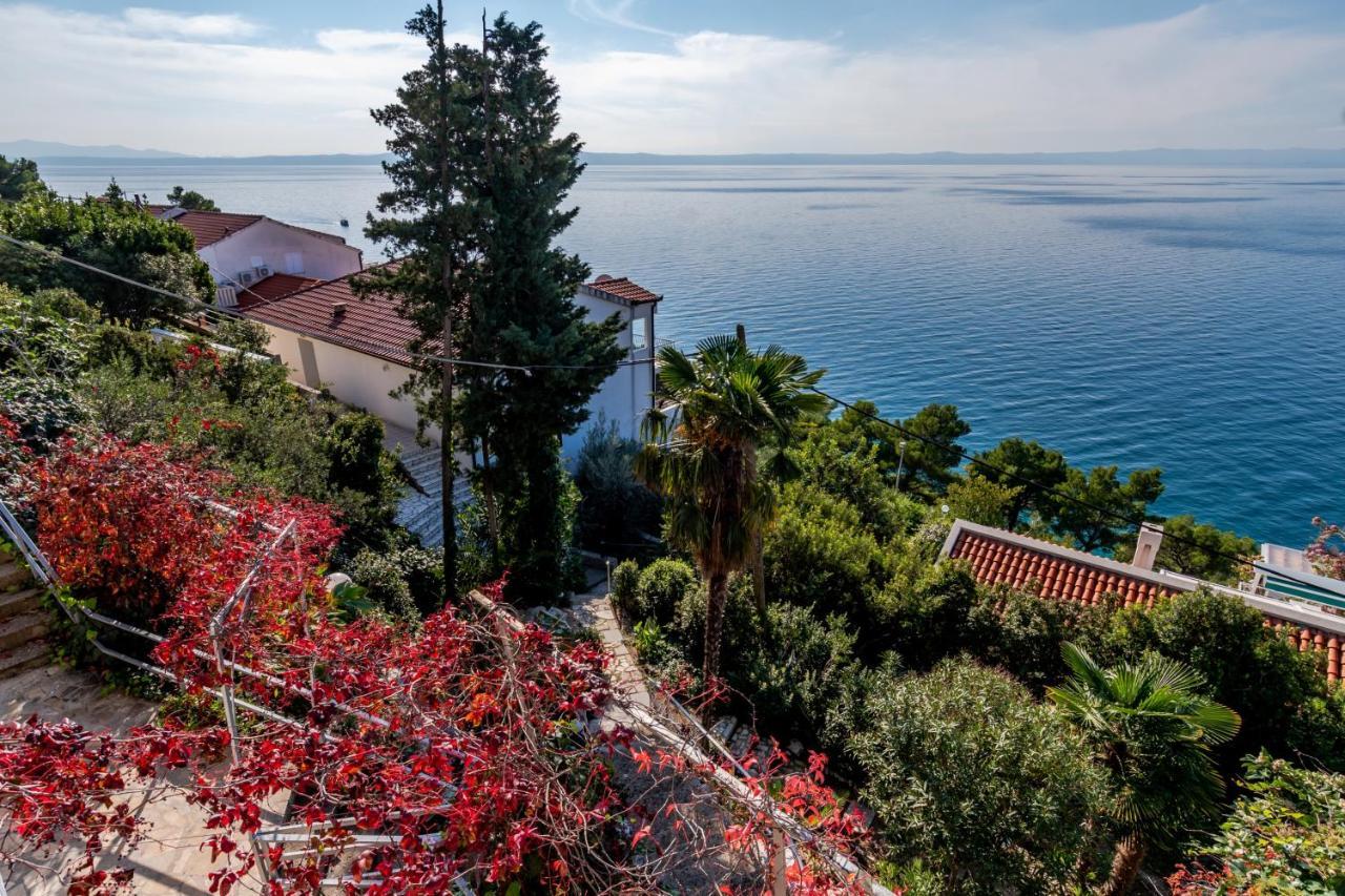 Apartments Tolic Baška Voda Εξωτερικό φωτογραφία