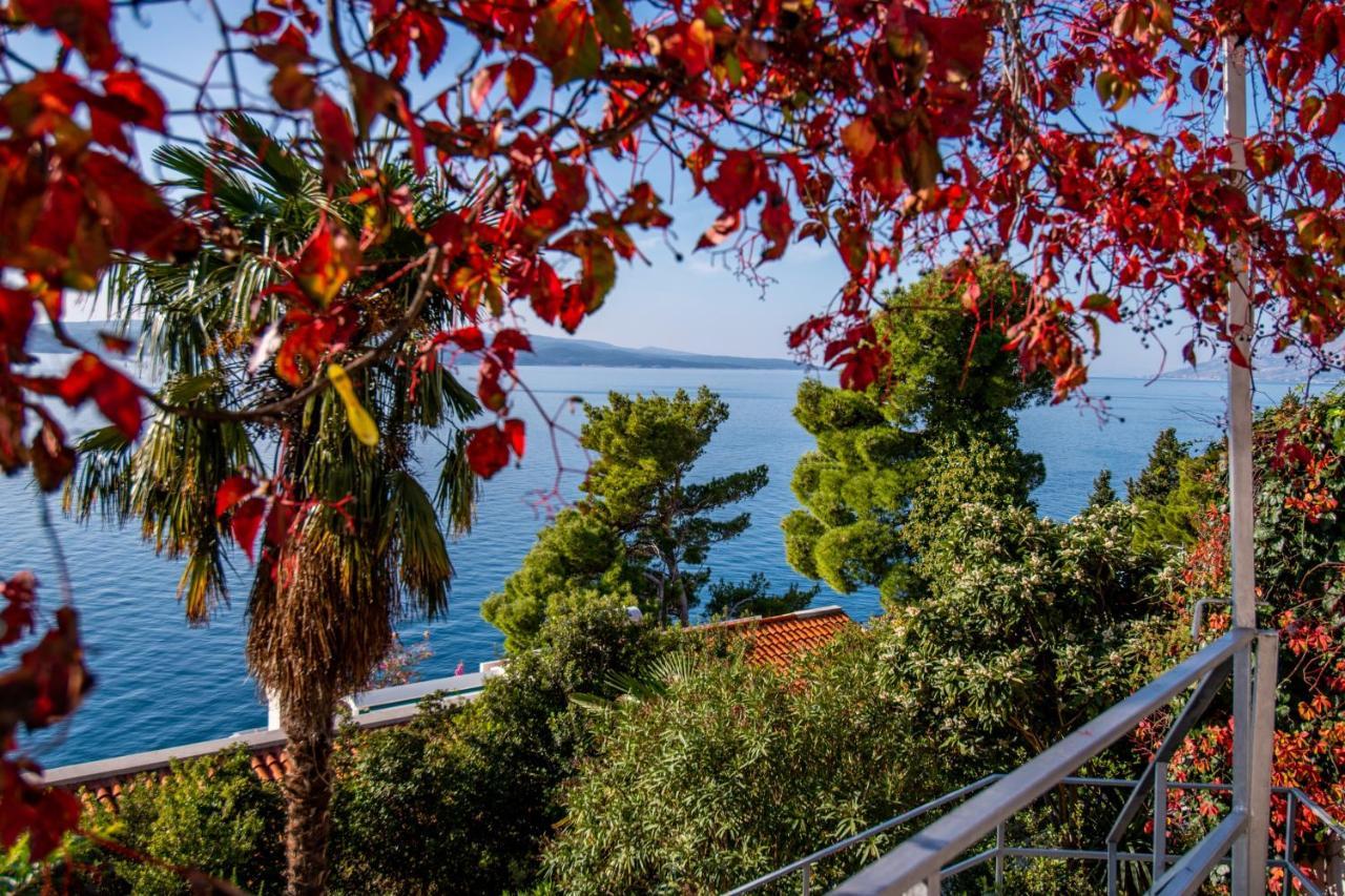 Apartments Tolic Baška Voda Εξωτερικό φωτογραφία